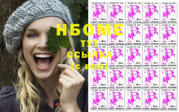 ПСИЛОЦИБИНОВЫЕ ГРИБЫ Елабуга
