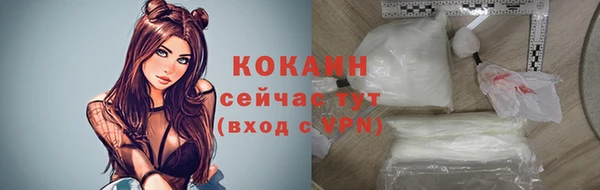 ALPHA PVP Елизово