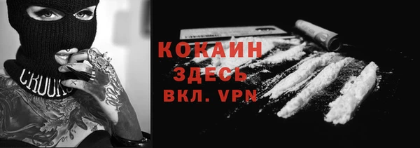 ALPHA PVP Елизово
