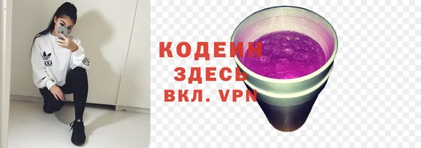 ПСИЛОЦИБИНОВЫЕ ГРИБЫ Елабуга