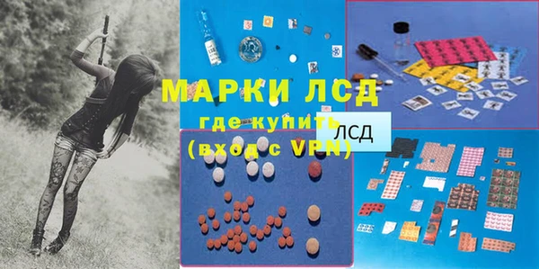 ALPHA PVP Елизово