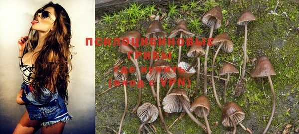 mdpv Ельня