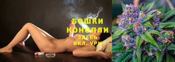 ALPHA PVP Елизово